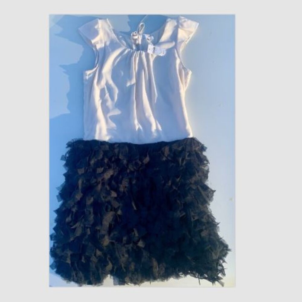 GAP Dress Size 4